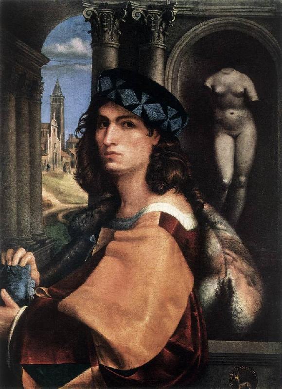 CAPRIOLO, Domenico Portrait of a Man df Sweden oil painting art